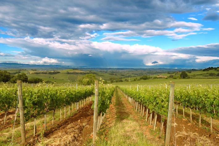 Abbadia Wine Relais Montefollonico Exterior photo