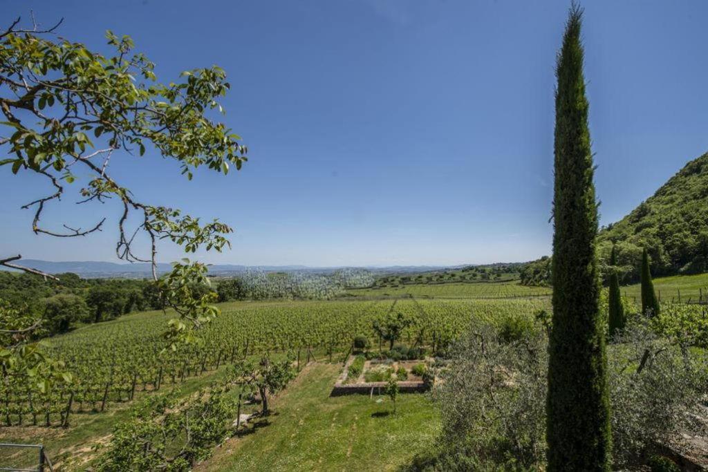 Abbadia Wine Relais Bed & Breakfast Montefollonico Exterior photo