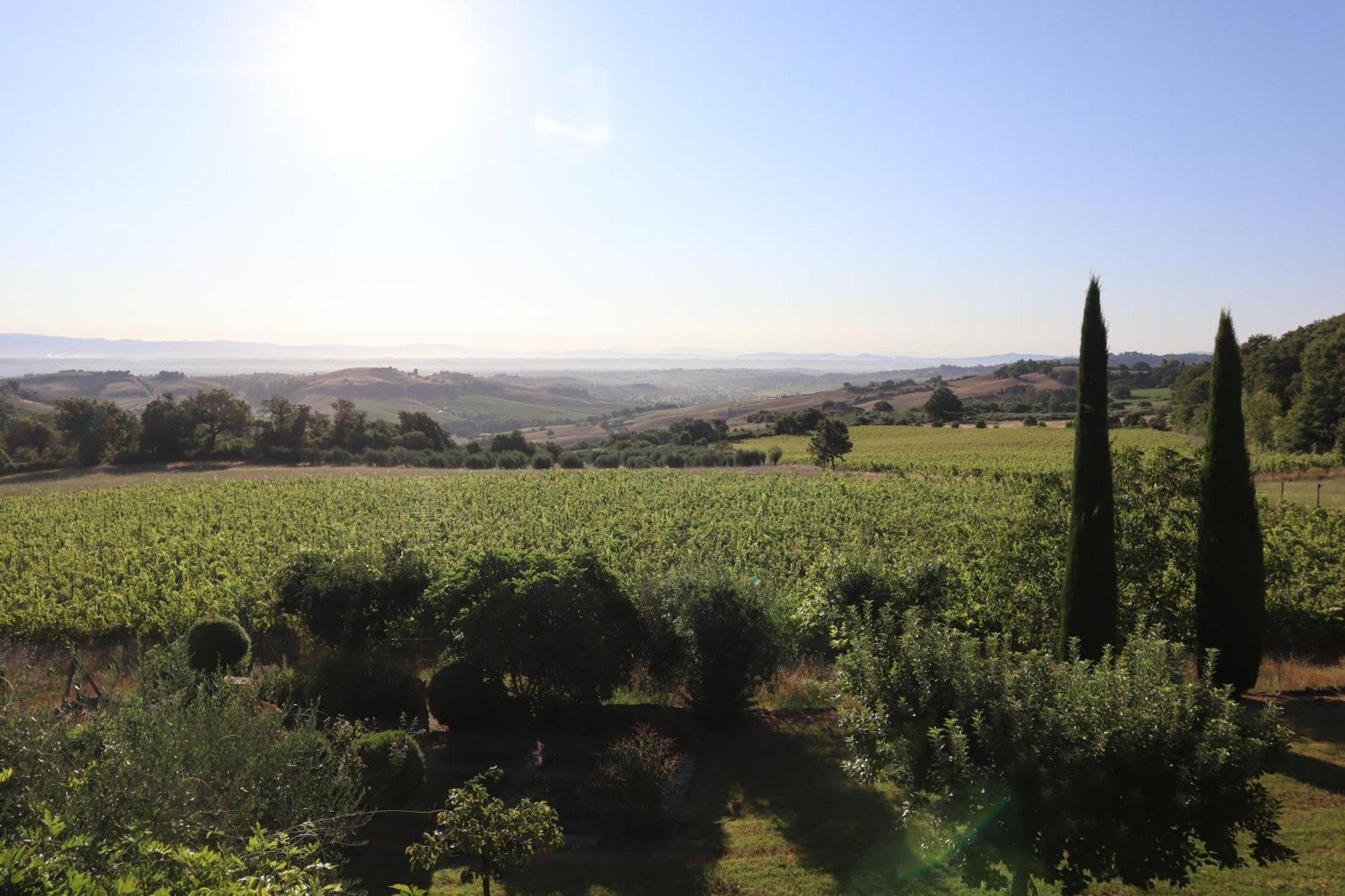 Abbadia Wine Relais Montefollonico Exterior photo