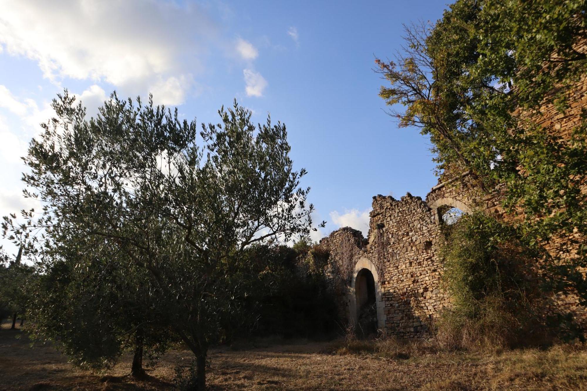 Abbadia Wine Relais Bed & Breakfast Montefollonico Exterior photo