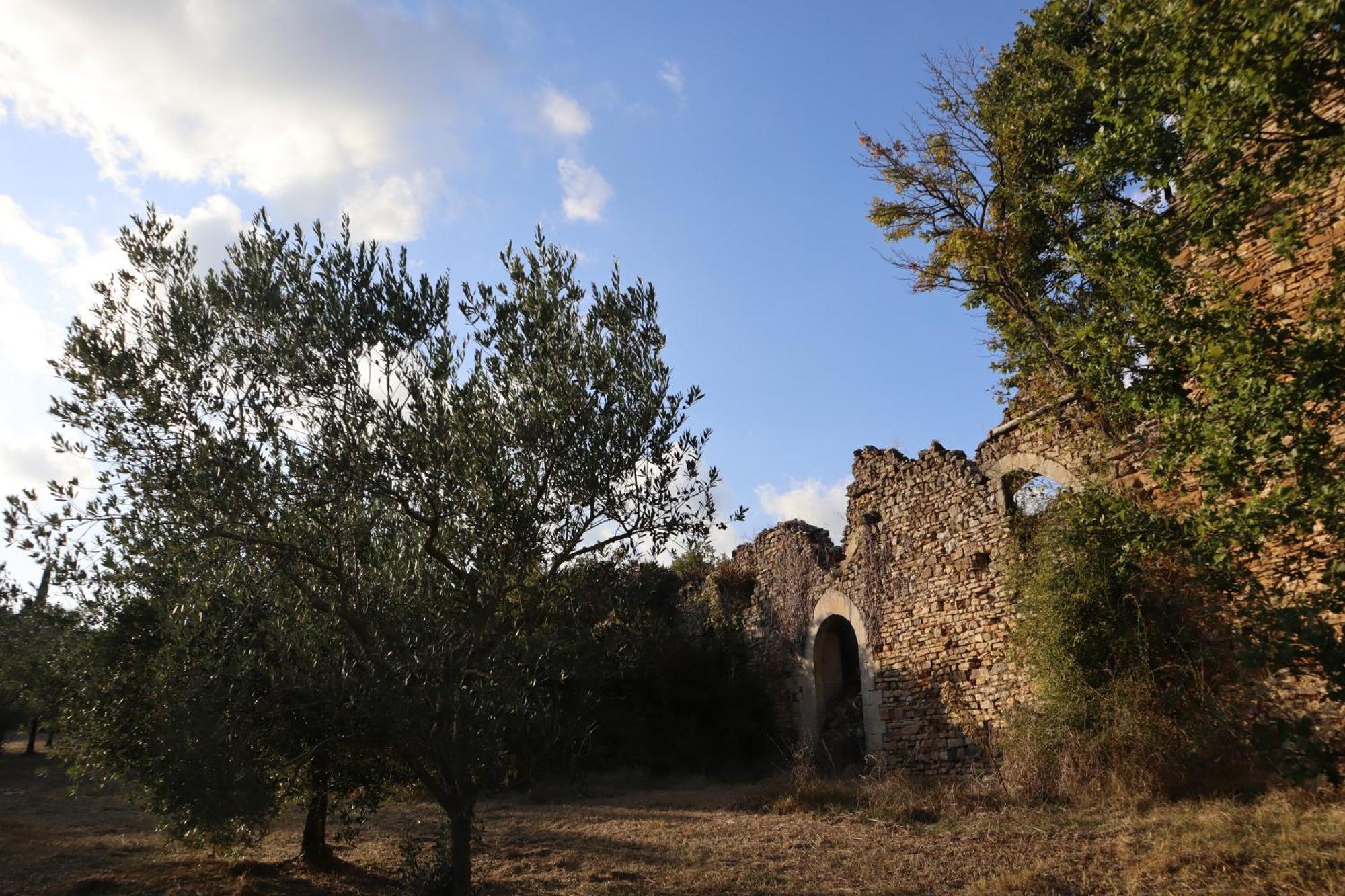 Abbadia Wine Relais Montefollonico Exterior photo