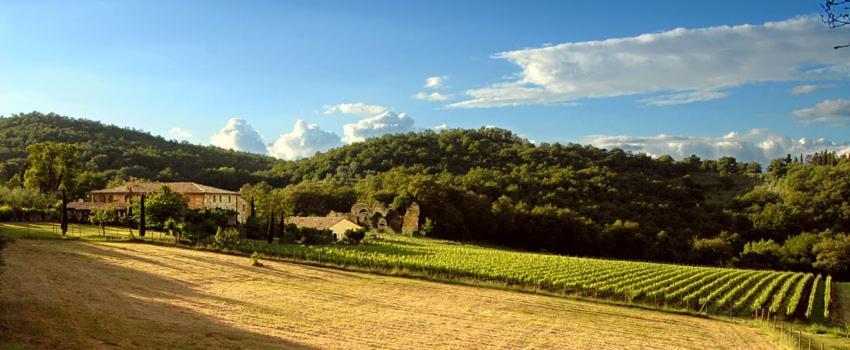 Abbadia Wine Relais Montefollonico Exterior photo