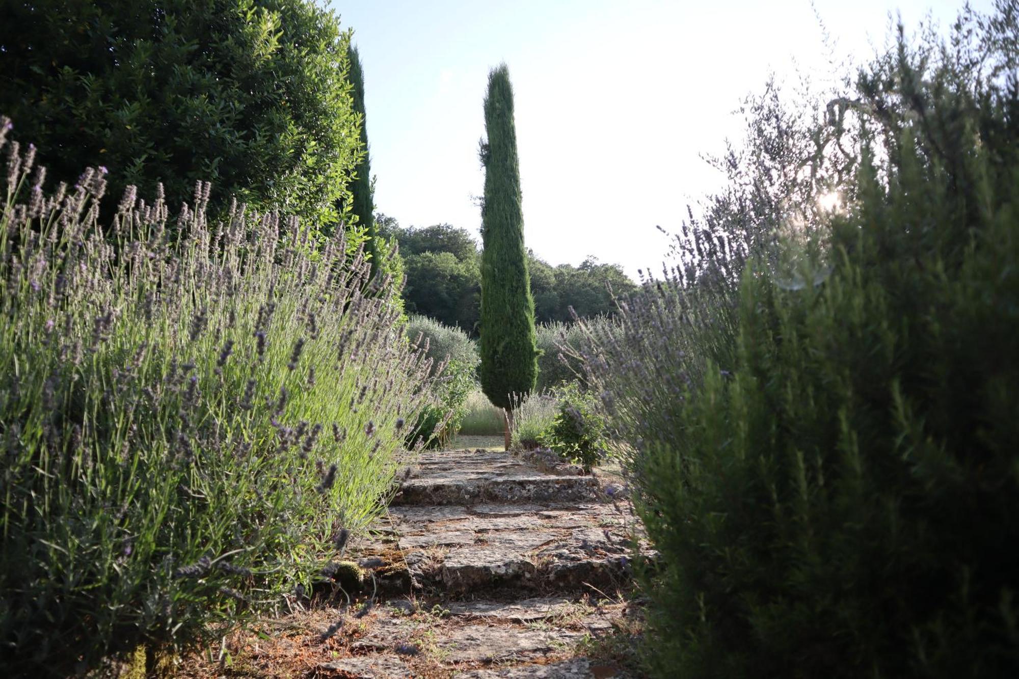 Abbadia Wine Relais Montefollonico Exterior photo