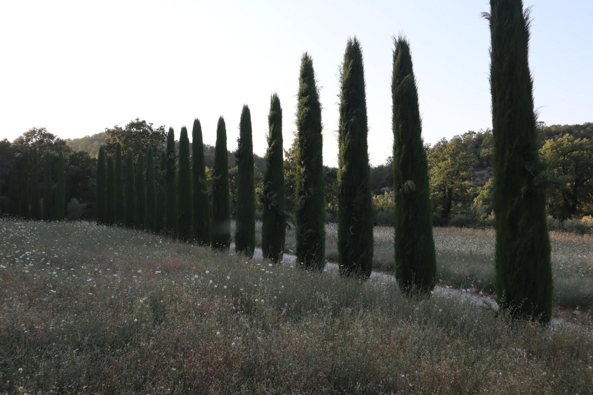 Abbadia Wine Relais Montefollonico Exterior photo