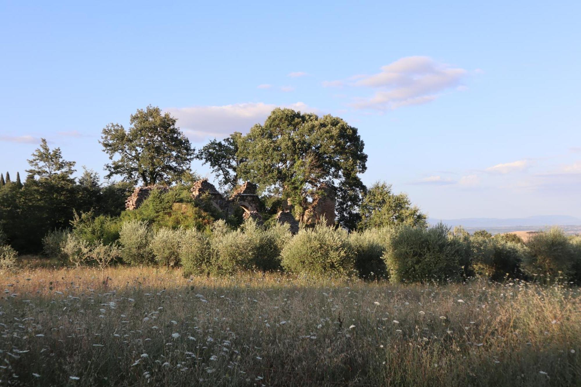 Abbadia Wine Relais Montefollonico Exterior photo